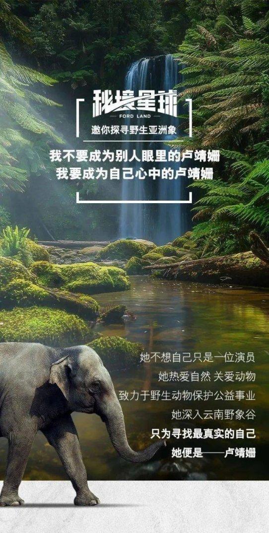 小红帽的冒险之旅